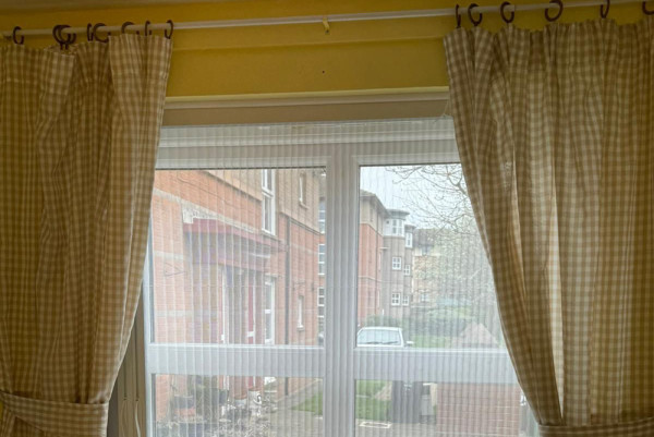 Image-7