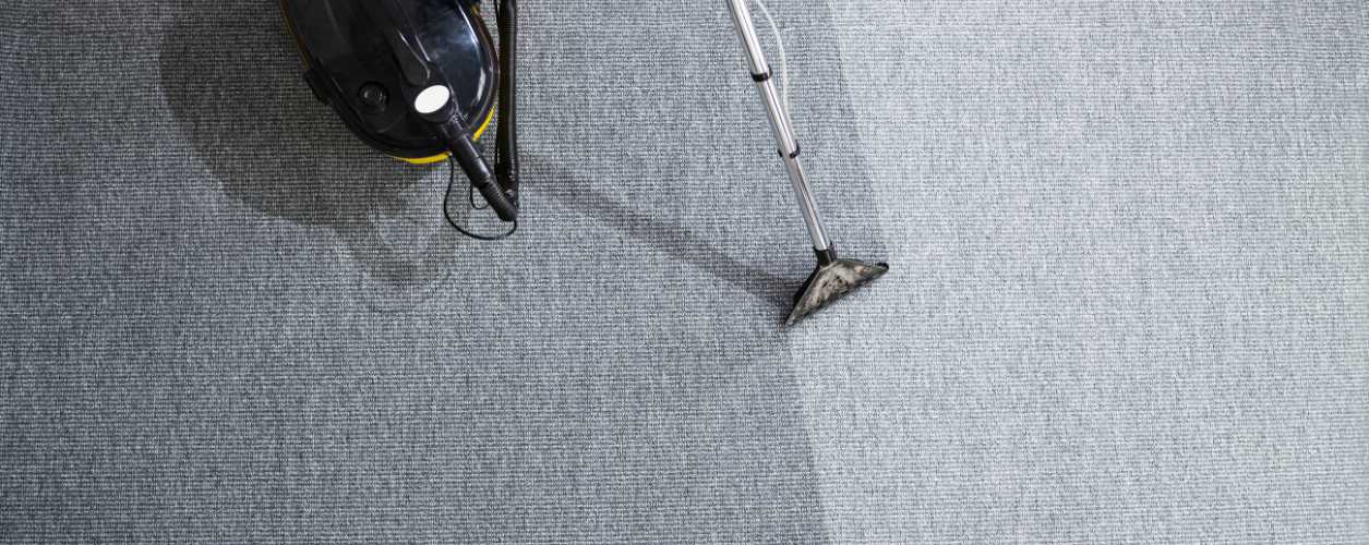 Carpet Cleaning